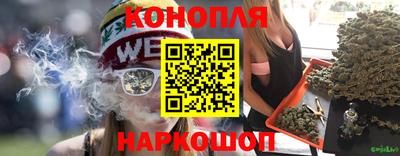 spice Дубна