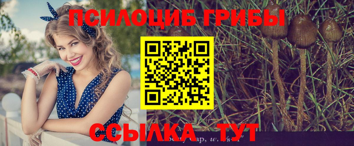 Галлюциногенные грибы GOLDEN TEACHER  Вход с VPN  Вологда 